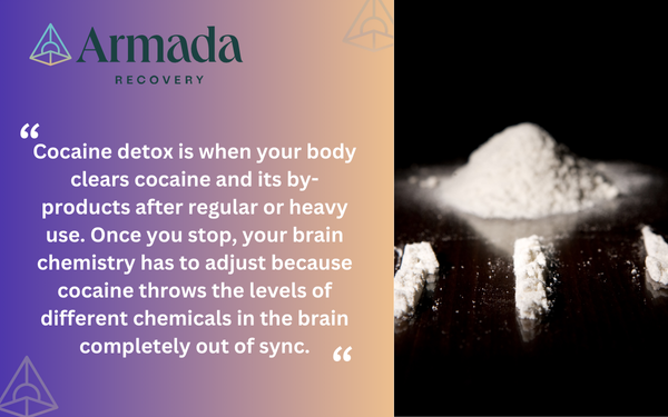 Cocaine Detox Quote