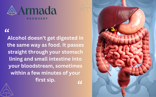 How Long Does Alcohol Stay in Your System Quote