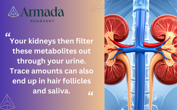 How long do prescription drugs stay in your system Quote (1)